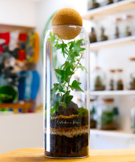 Terrarium Cyprien, Petit modèle, bouchon en liège rond