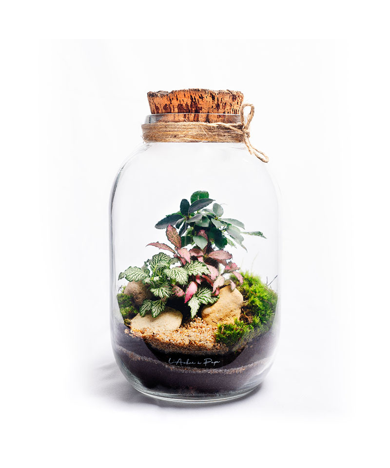 Modèle de terrarium réalisé lors d'un atelier diy